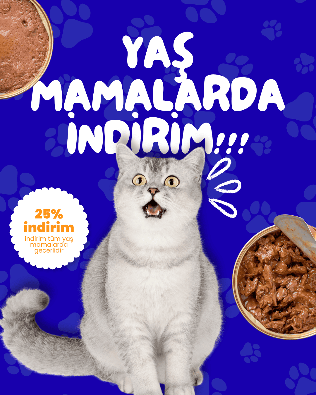 Sosyal Medya Tasarımı
