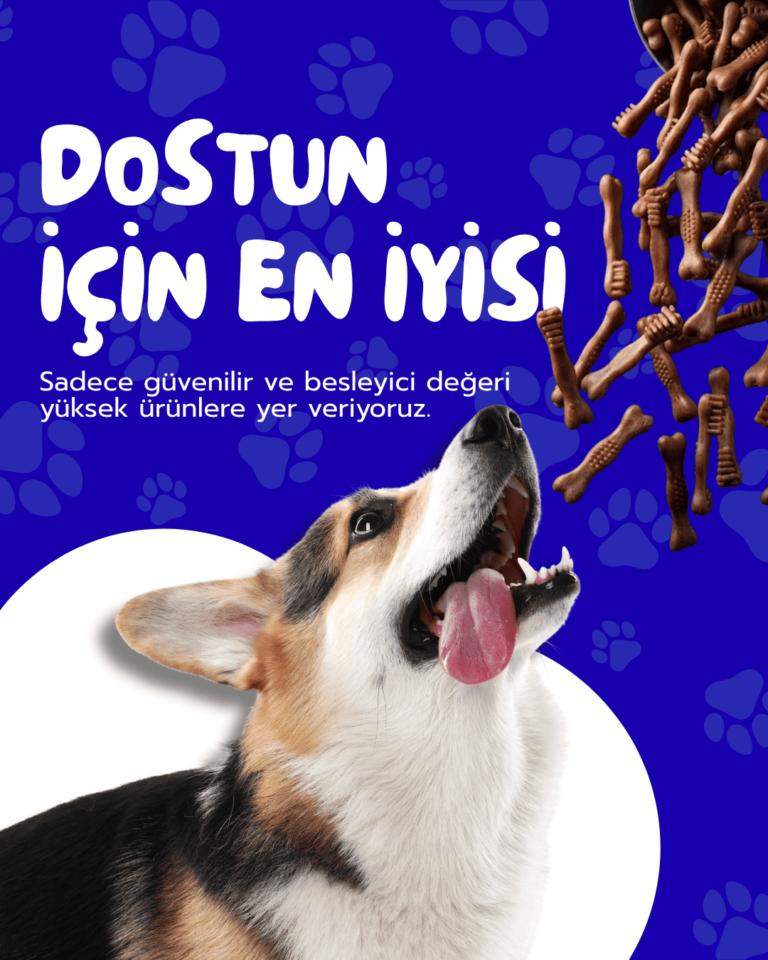 Sosyal Medya Tasarımı